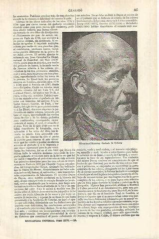 LAMINA ESPASA 32079: El Cardenal Manning por Roberts