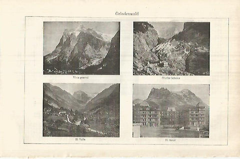 LAMINA ESPASA 32144: Grindenwald