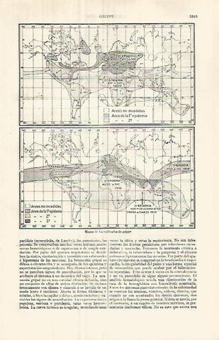 LAMINA ESPASA 32145: Mapas de epidemias de gripe entre 1889-1919