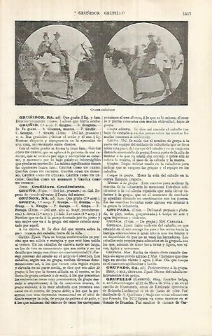 LAMINA ESPASA 32153: Grupas andaluzas
