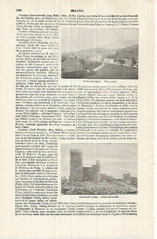 LAMINA ESPASA 32193: Castillo y vista de La Guardia Jaen