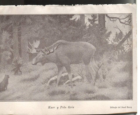 Lamina 04/05: Libro Nils Holgersson: Karr y Pelo gris + La cascada de Añvkarleby