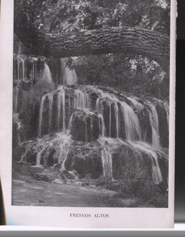 Lamina 09/10: Monasterio de Piedra: La Iris + Fresnos altos