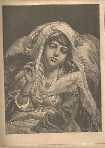 LAMINA 13387: La flor del harem, por F. A. Bridgman