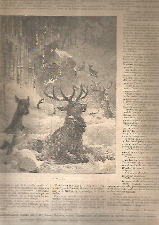 LAMINA 13565: Una nevada