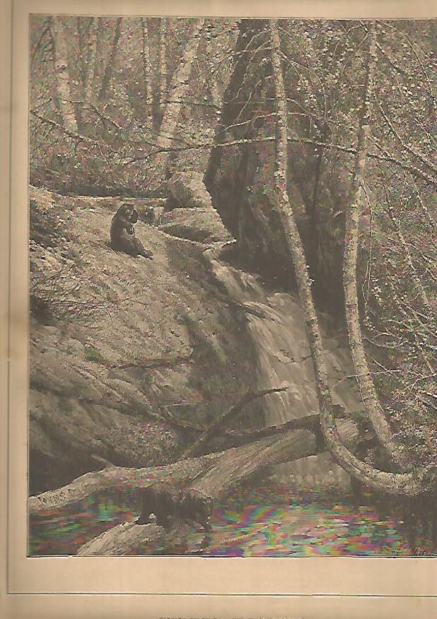 LAMINA 13485: Cascada de la Roca del Vigia en Tenesee