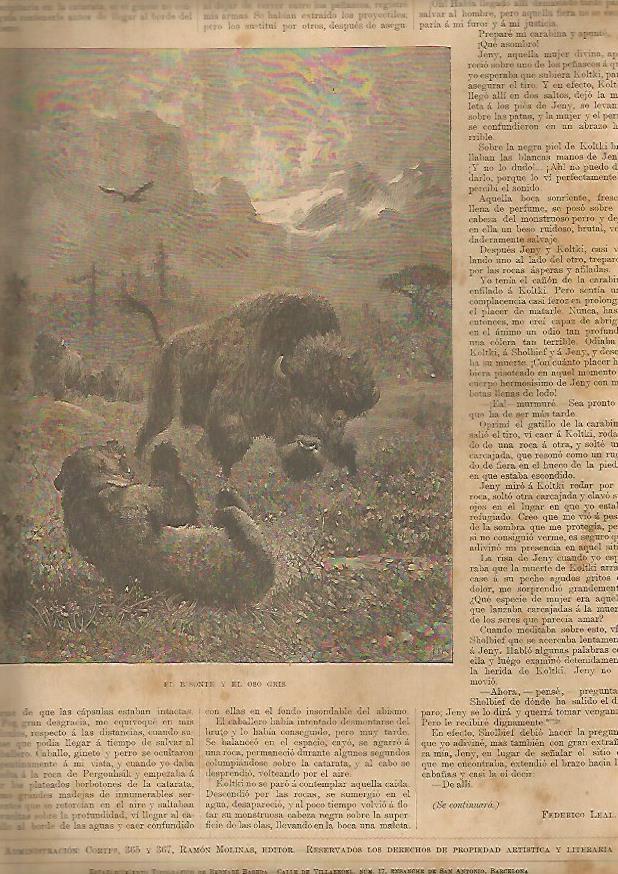 LAMINA 13460: El bisonte y el oso gris