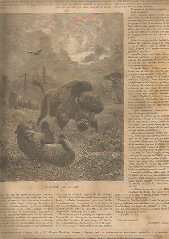LAMINA 13460: El bisonte y el oso gris