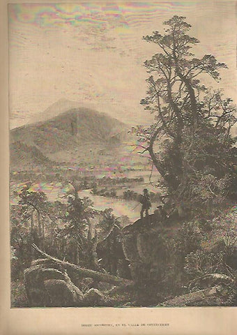LAMINA 13491: Monte Ascoriney en Connecticut