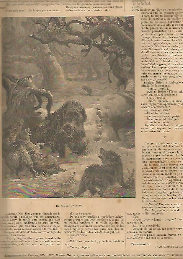 LAMINA 13489: El jabali acosado