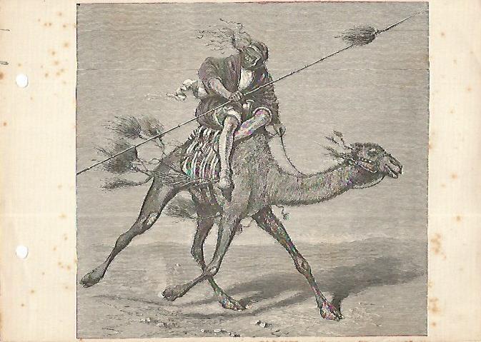 LAMINA 13165: Beduino 