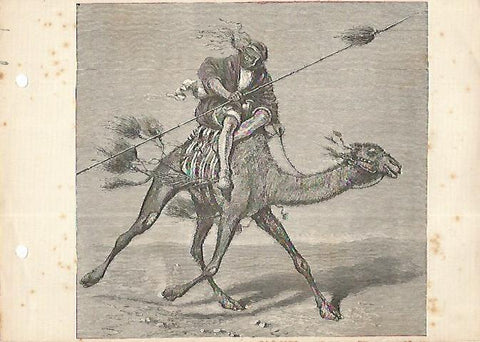 LAMINA 13165: Beduino 
