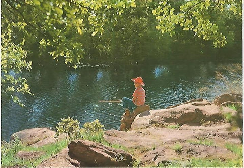 LAMINA 13112: Niño pescando