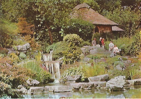 LAMINA 13102: Grupo en casa con cascada