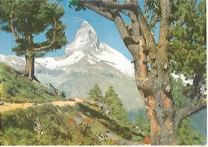 LAMINA 13094: Paisaje de montaña