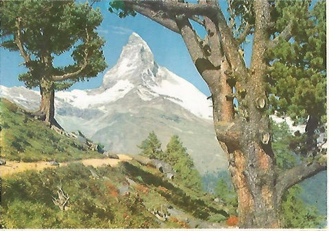 LAMINA 13094: Paisaje de montaña