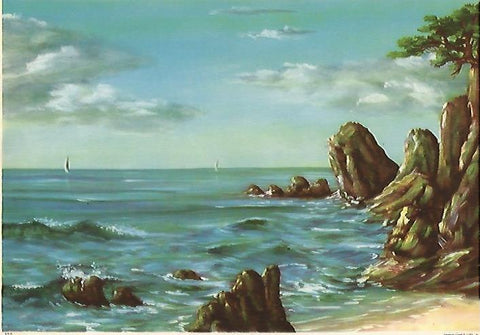 LAMINA 13140: Playa