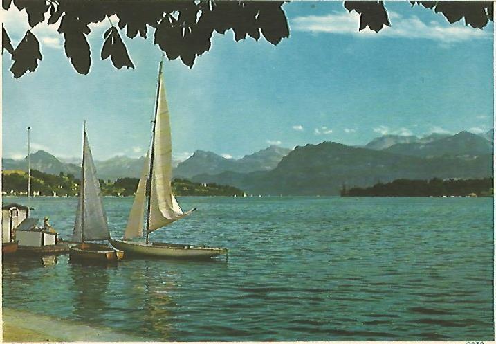 LAMINA 13128: Barcas con vela