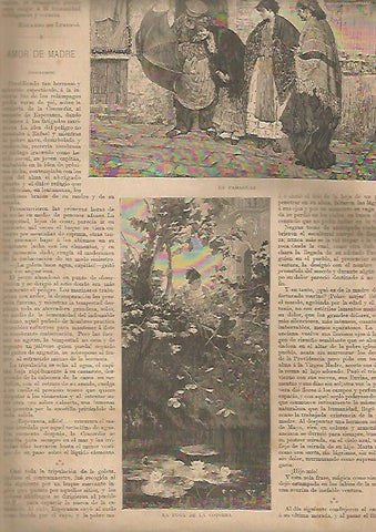 LAMINA 13292: Un paraguas y La fuga de la cotorra