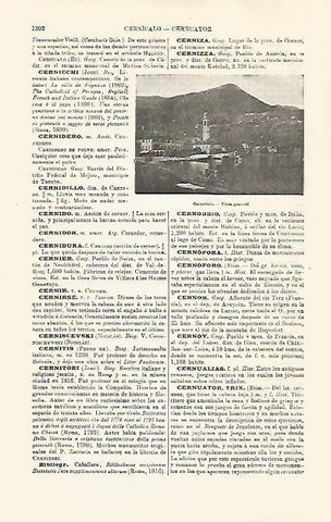 LAMINA ESPASA 32526: Vista de Cernobbio, Italia