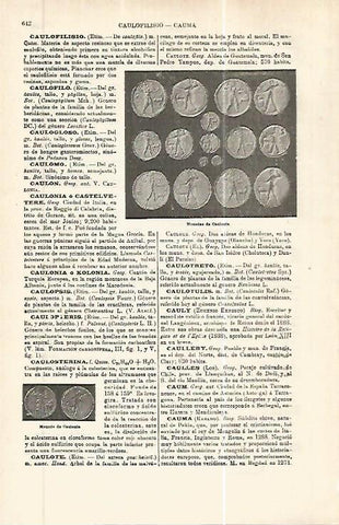 LAMINA ESPASA 32455: Monedas de Caulonia