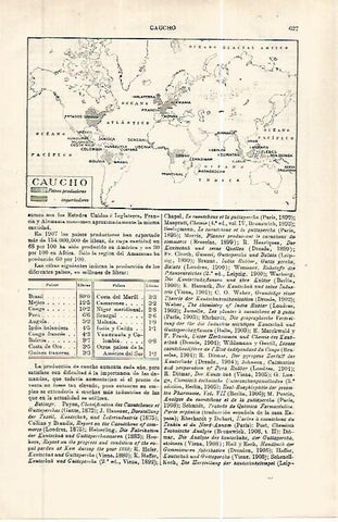 LAMINA ESPASA 32452: Mapa mundial de caucho