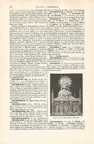 LAMINA ESPASA 32469: Urna relicario de San Celedonio