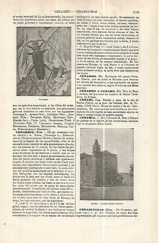 LAMINA ESPASA 32495:Iglesia de San Antonio en Cerami, Italia