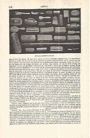 LAMINA ESPASA 32493: Clases de cepillos