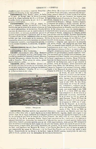 LAMINA ESPASA 32488: Vista de La Cenia, Tarragona