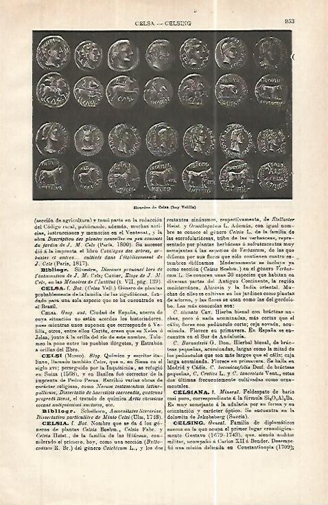 LAMINA ESPASA 32472: Monedas de  Celsa