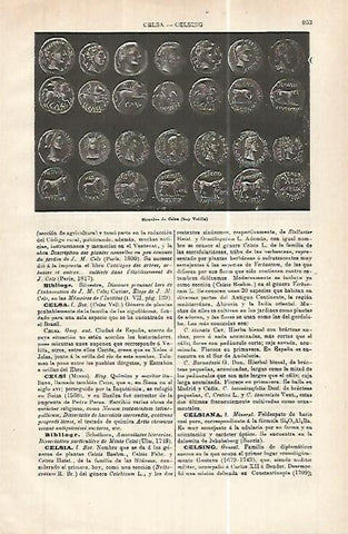LAMINA ESPASA 32472: Monedas de  Celsa