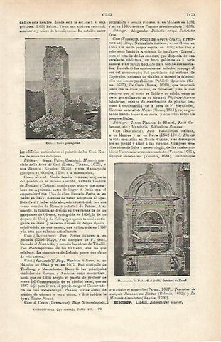 LAMINA ESPASA 32556: Torre de Cesi