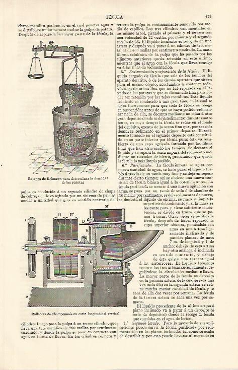 LAMINA ESPASA 32627: Balanza de Reimann