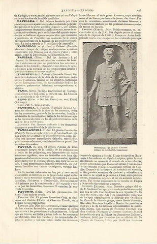 LAMINA ESPASA 32619: Monumento de Marco Favonio
