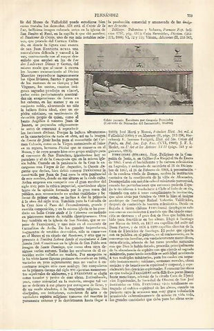 LAMINA ESPASA 32648: Cristo yacente, por Gregorio Fernandez