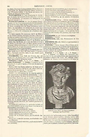 LAMINA ESPASA 32615: Busto de Fauno riente