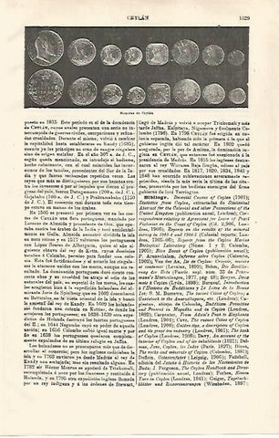 LAMINA ESPASA 32569: Monedas de Sri Lanka