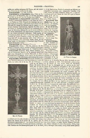 LAMINA ESPASA 32587: La Virgen de Falgars