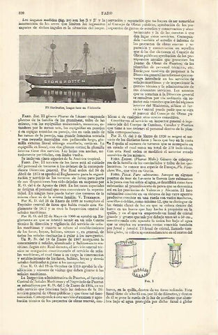 LAMINA ESPASA 32609: El Storbrotten, buque faro de Finlandia