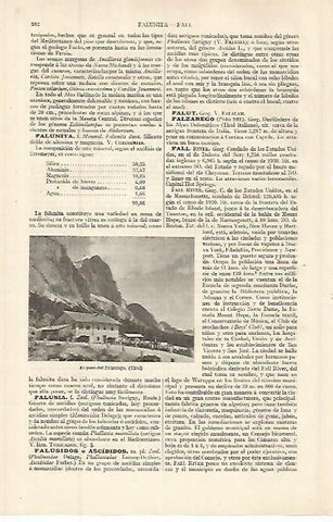 LAMINA ESPASA 32592: El paso del Falzarego en el Tirol