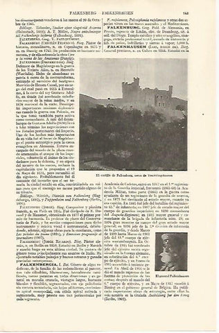 LAMINA ESPASA 32588: Catillo de Flakenburg