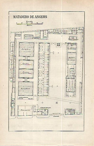 LAMINA ESPASA 32267: Plano del Matadero de Angers