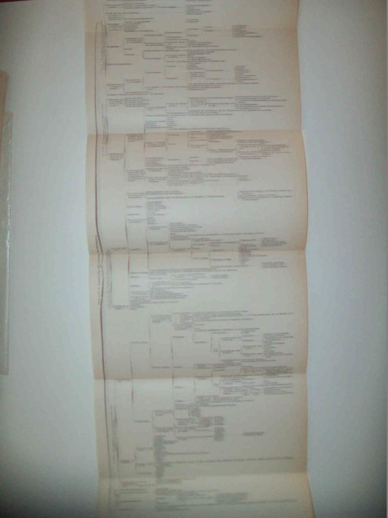 LAMINA ESPASA 32298: Plan de exposicion del articulo Matrimonio