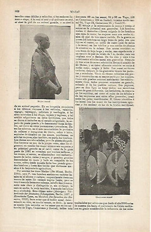 LAMINA ESPASA 32243: Mujer y guerreros Masai