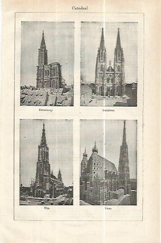 LAMINA ESPASA 32413: Catedral de Estrasburgo, Ratisbona, Ulm y Viena