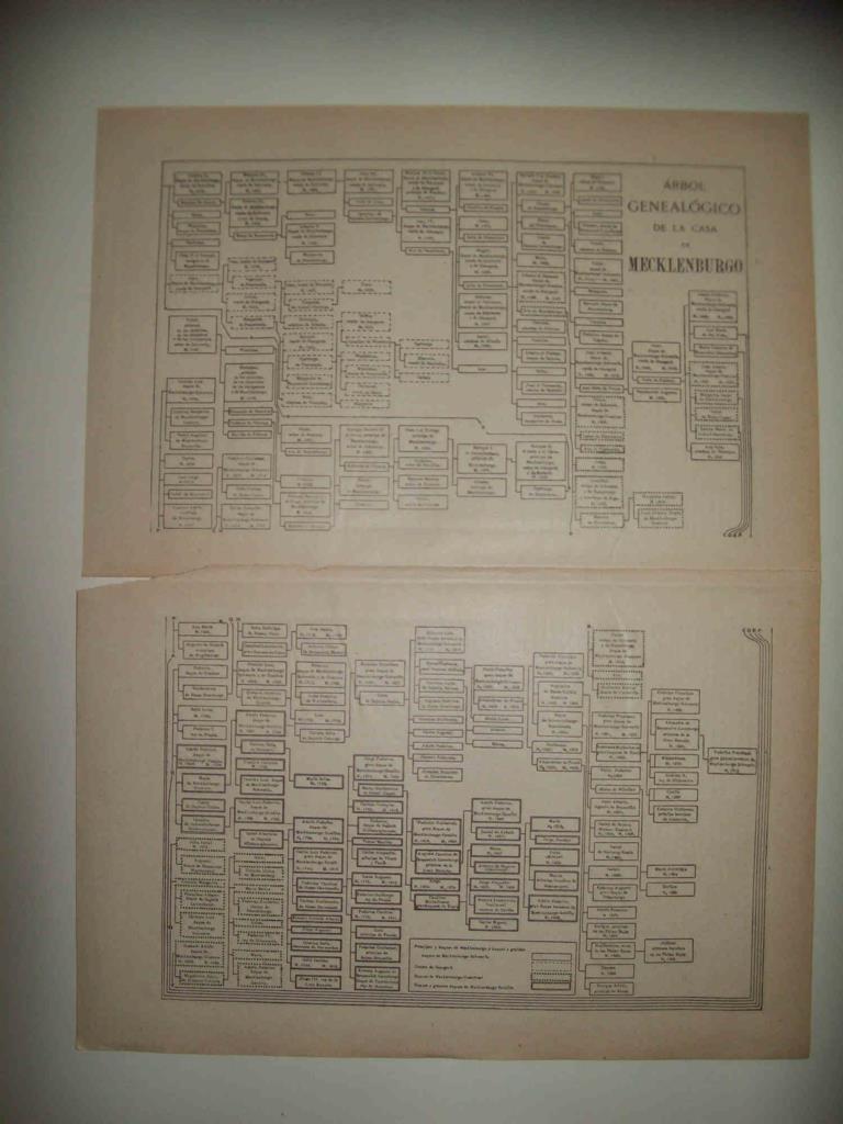 LAMINA ESPASA 32336: Arbol genealogico de la Casa de Mecklenburgo