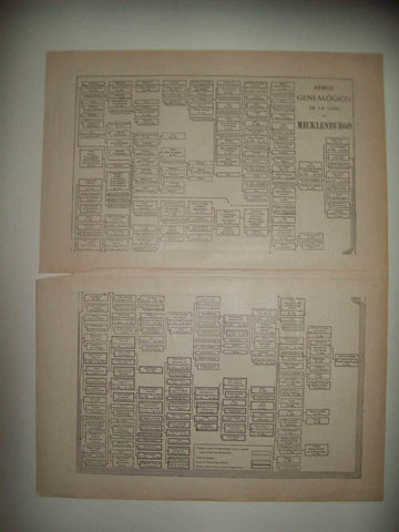 LAMINA ESPASA 32336: Arbol genealogico de la Casa de Mecklenburgo