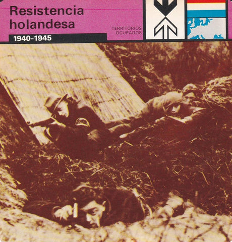 FICHA TERRITORIOS OCUPADOS: RESISTENCIA HOLANDESA. 1940-1945