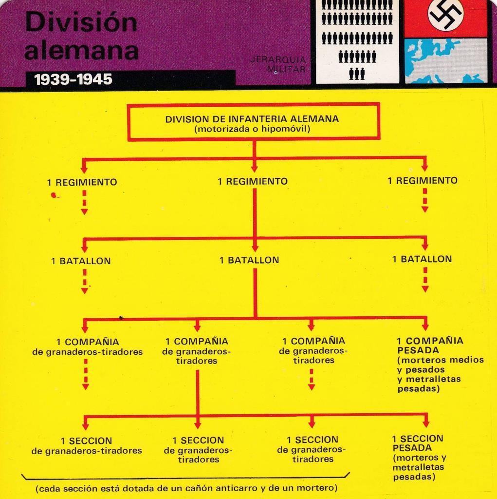 FICHA JERARQUIA MILITAR: DIVISION ALEMANA. 1939-1945